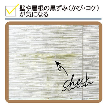 壁や屋根の黒ずみ(かび・コケ)が気になる