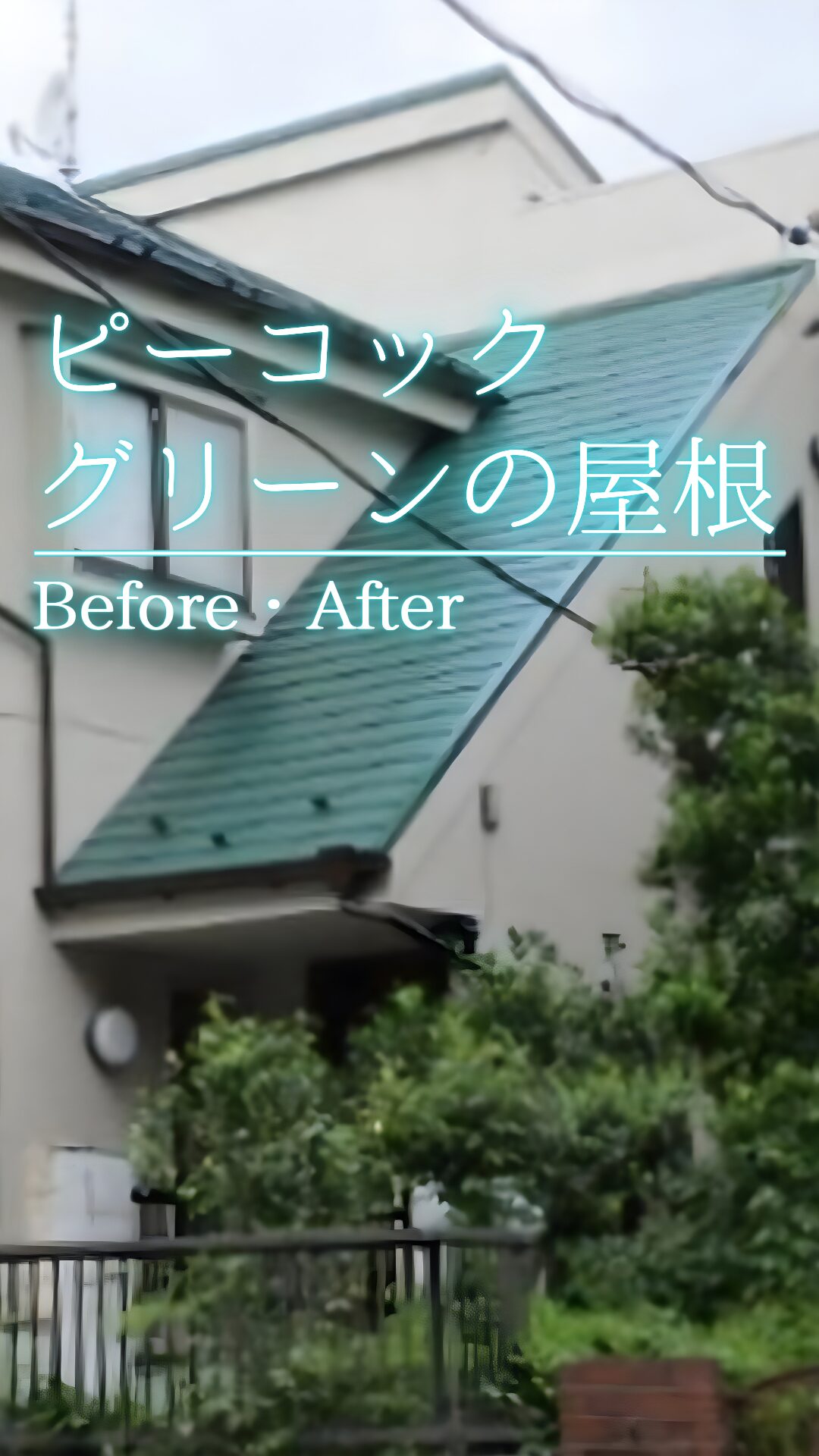 世田谷区　外壁・屋根塗装施工事例　カバー